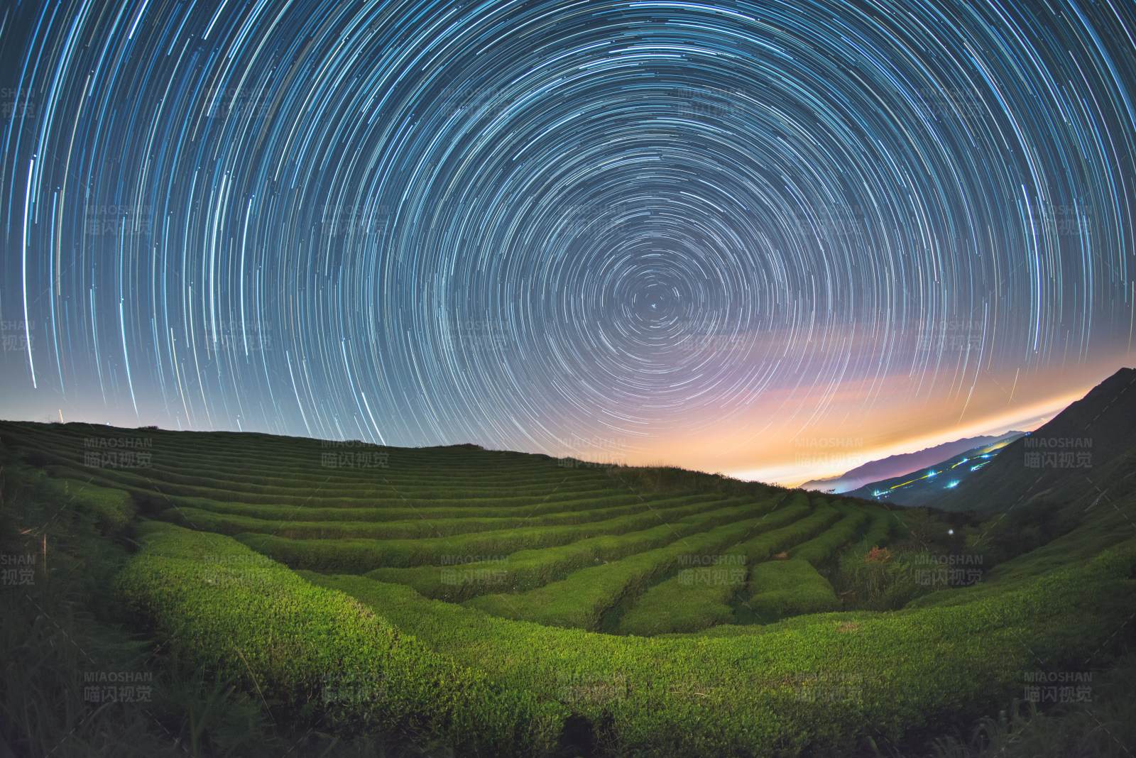 星空下的茶园图片