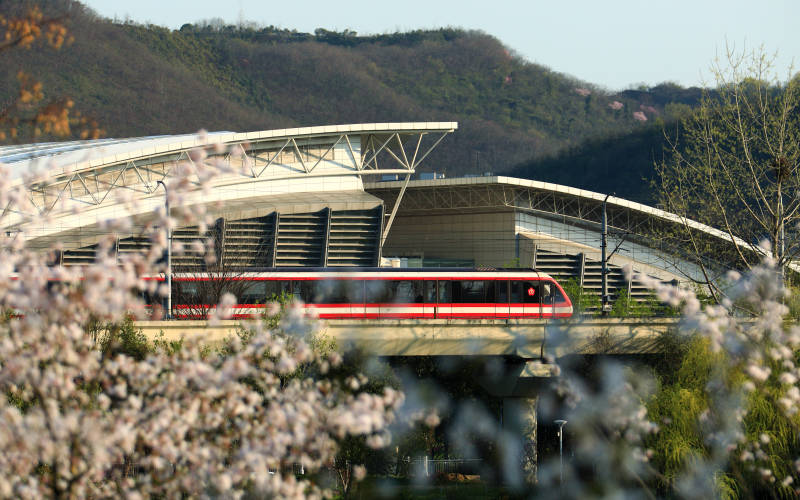 山花烂漫 列车穿梭--南京地铁二号线图片