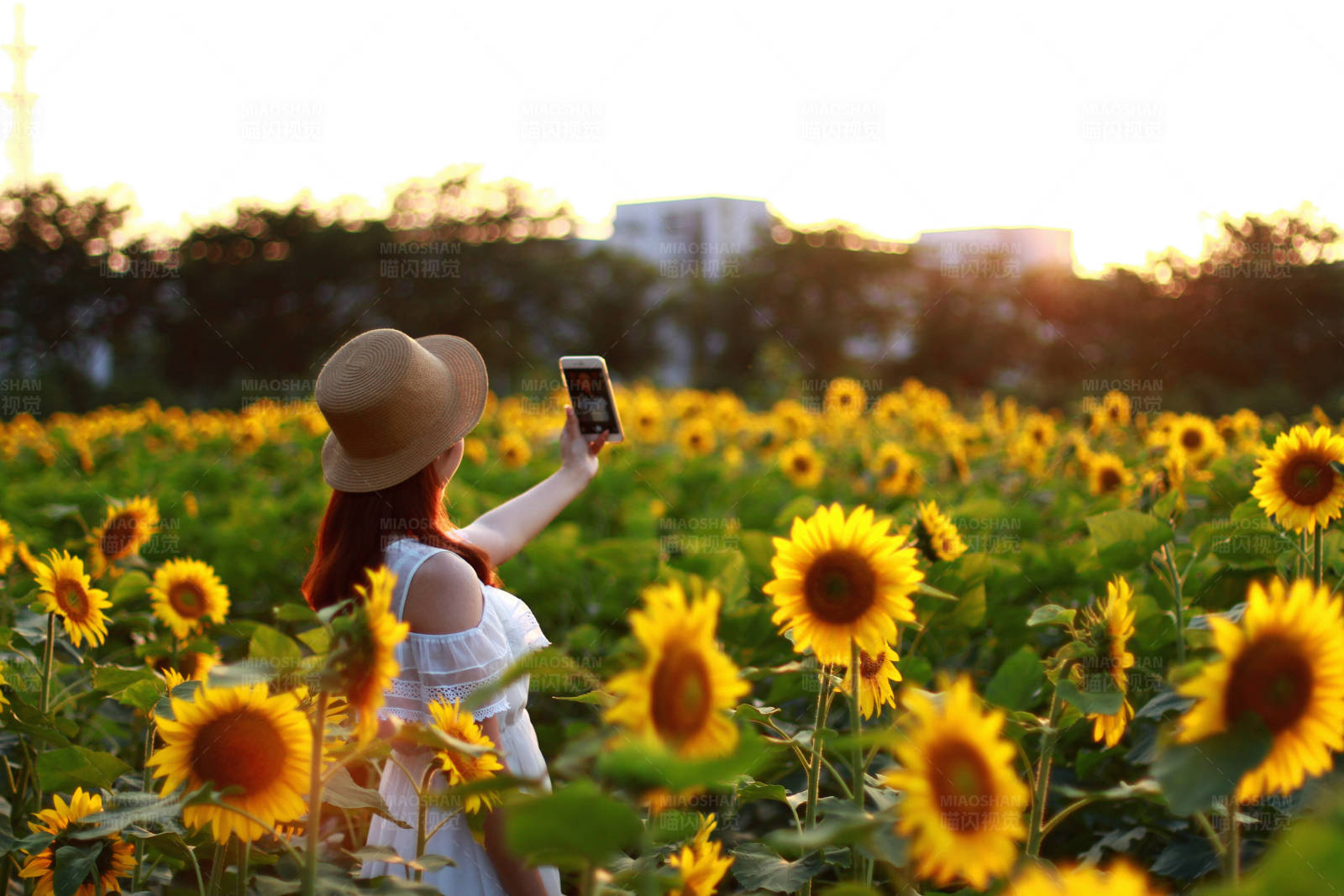 向日葵田里的自拍时光图片