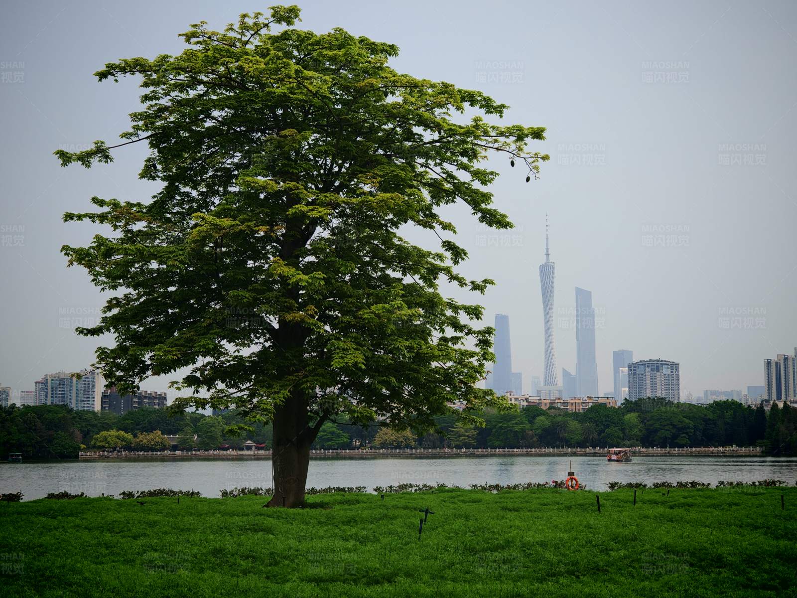 广州城市绿肺图片