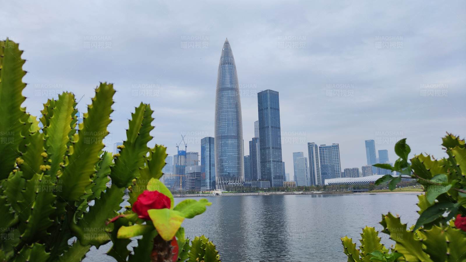 深圳湾畔摩天大楼图片