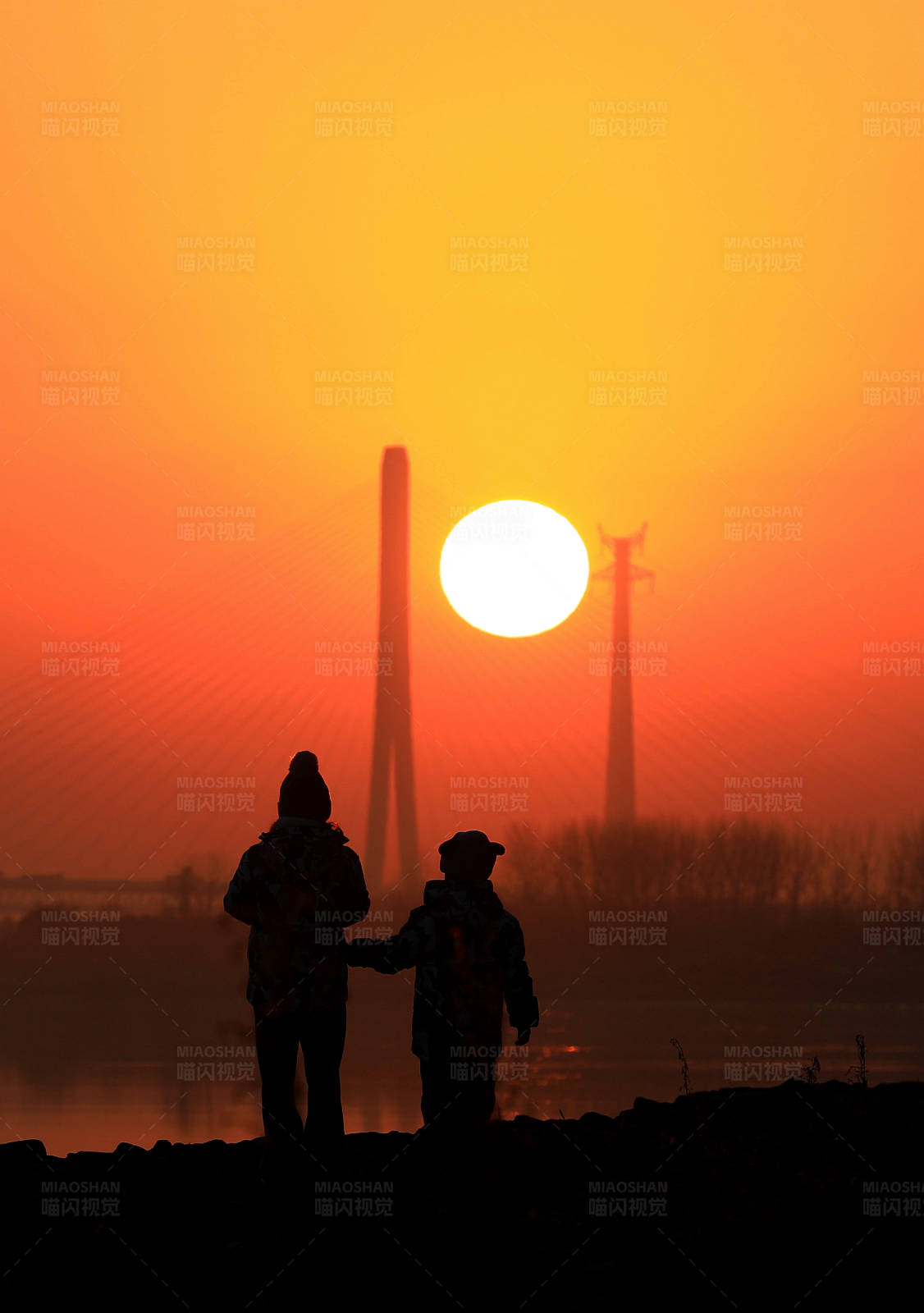 夕阳下的陪伴图片