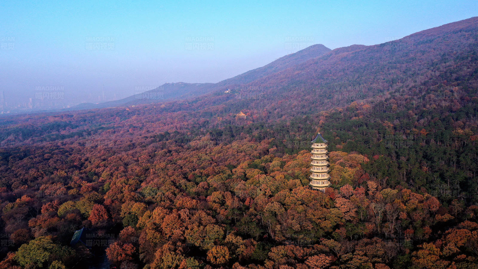 航拍南京深秋的紫金山灵谷塔图片