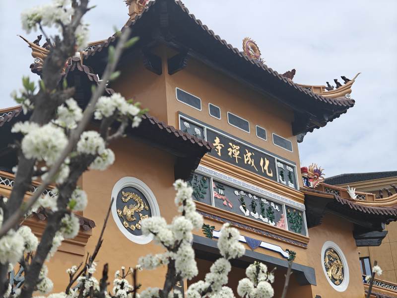 宜春成化禅寺图片