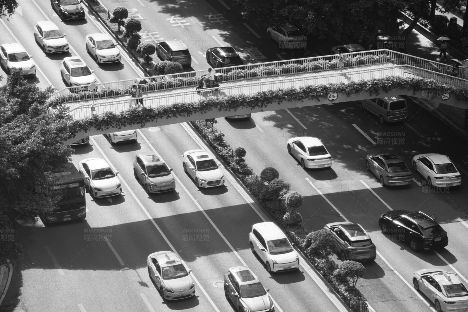 城市交通流图片