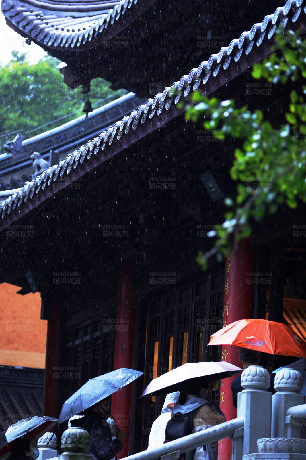 南京灵谷寺雨中游人撑伞图片