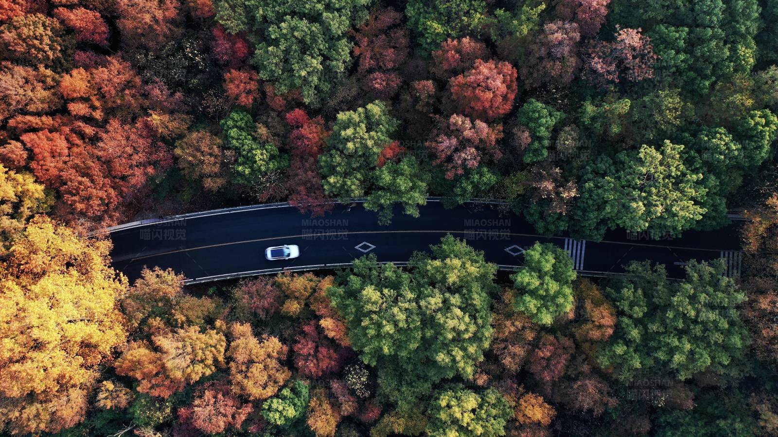 航拍南京紫金山秋日的蜿蜒公路图片