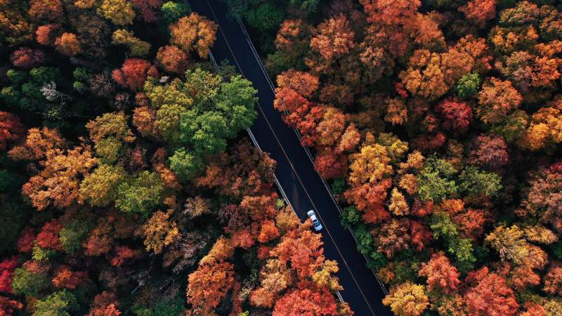 航拍南京紫金山深秋美景图片