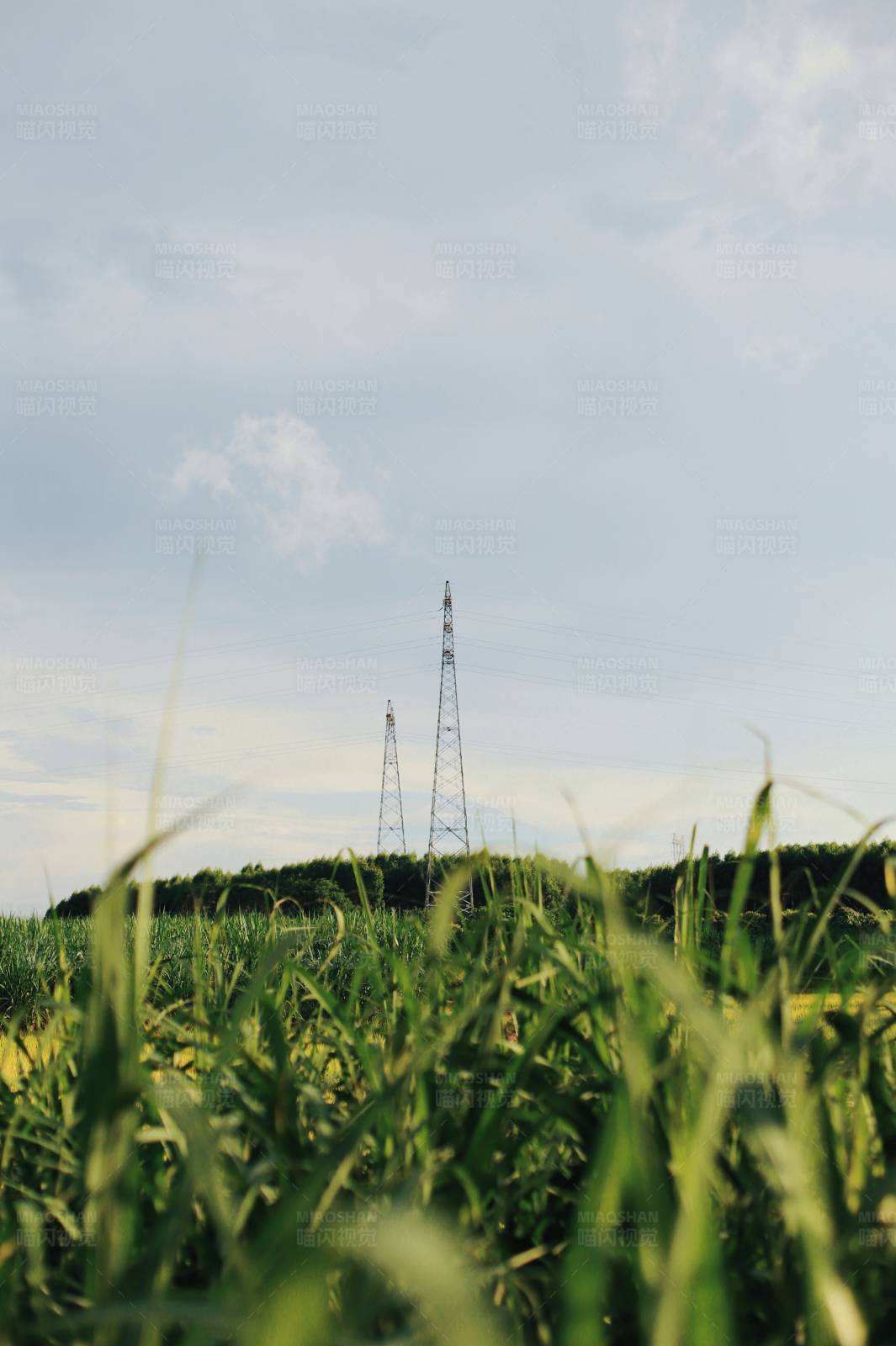 田野上的电力塔图片