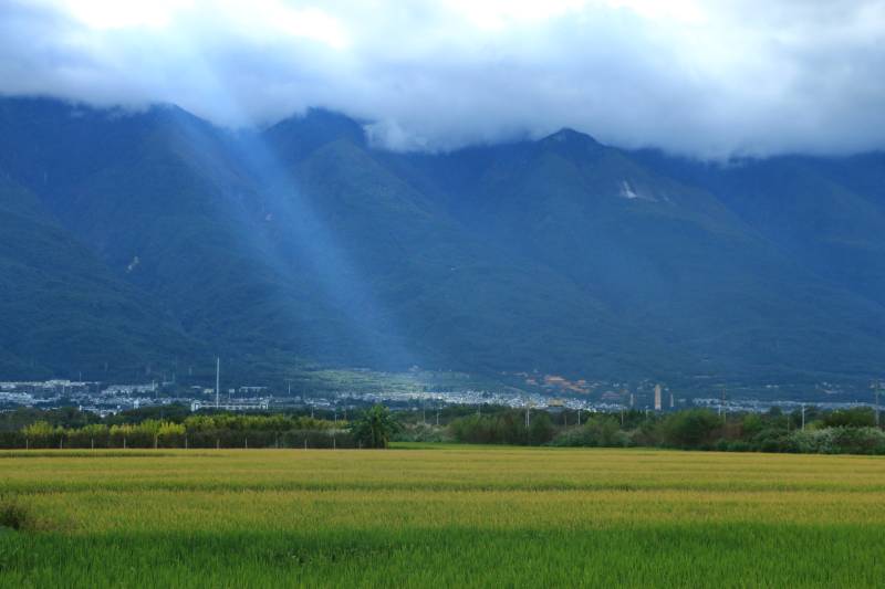 云南大理山谷稻田阳光洒图片
