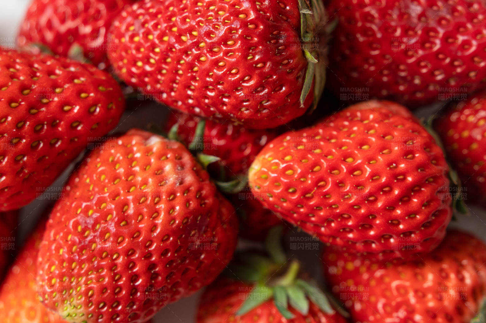 新鲜草莓特写图片