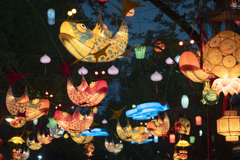 夜空下的彩色灯笼图片