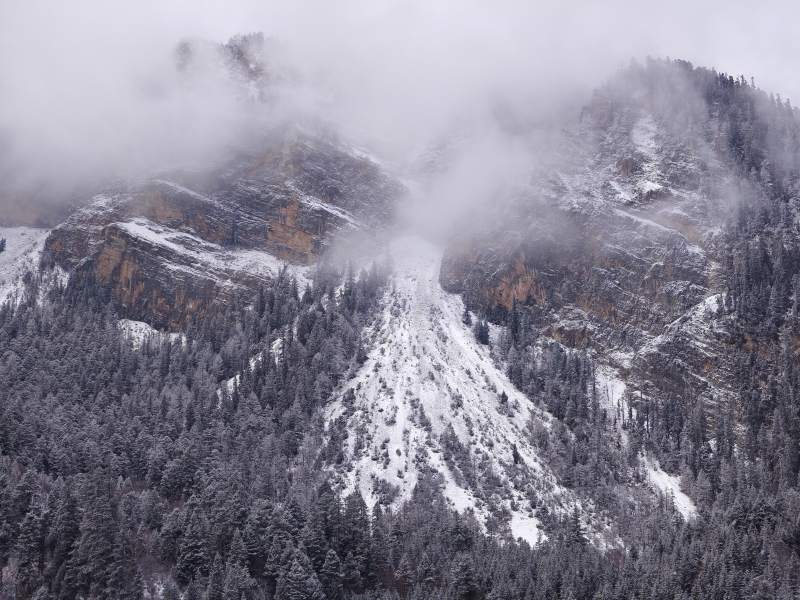 九寨沟雪雾缭绕的山林图片
