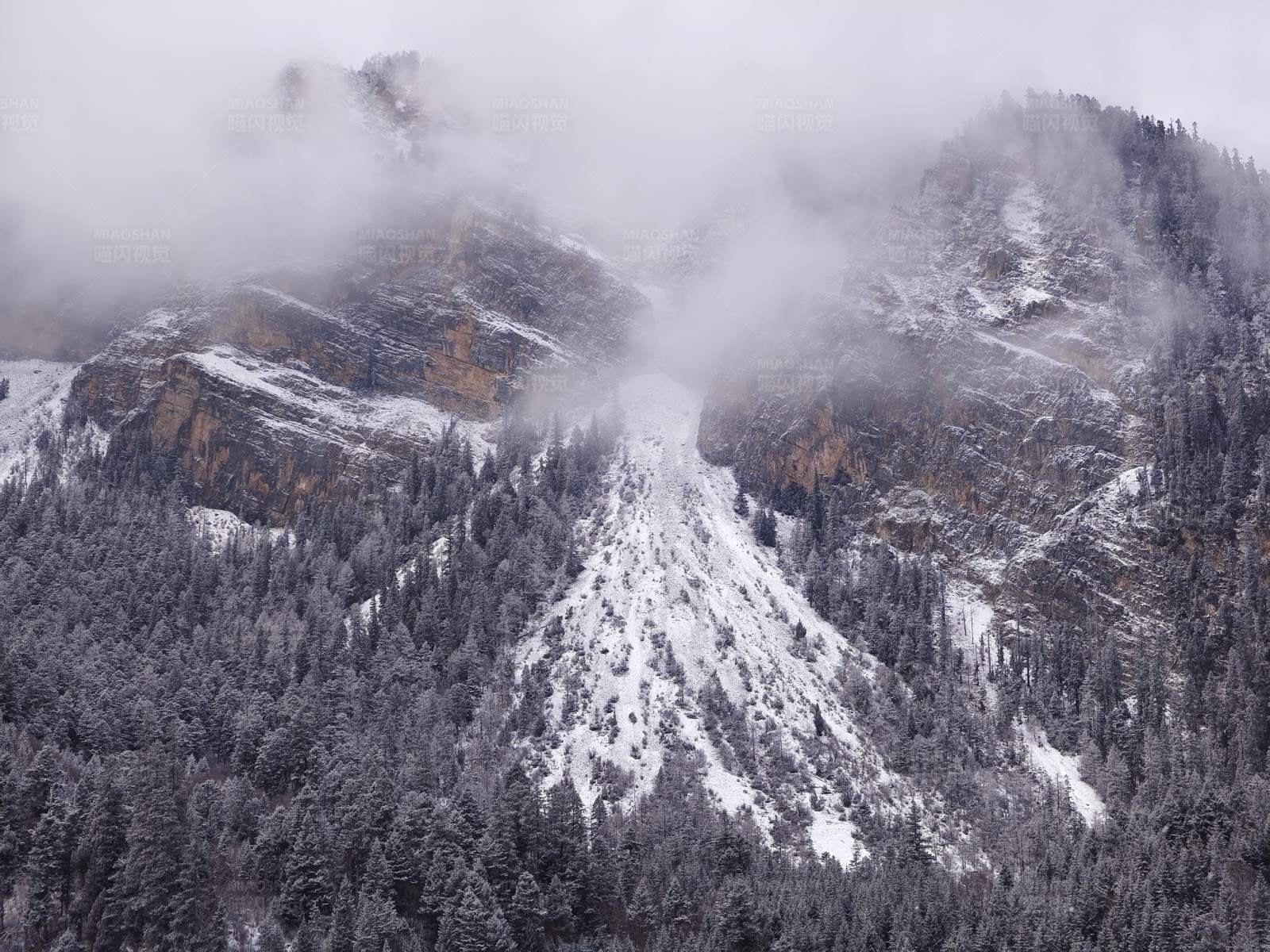 九寨沟雪雾缭绕的山林图片