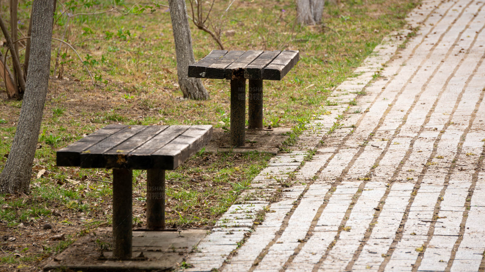 公园小径旁的空长椅图片