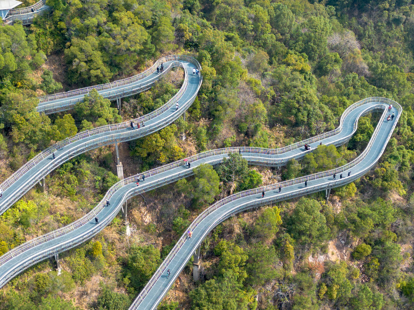 福州福道山间蜿蜒的空中步道图片