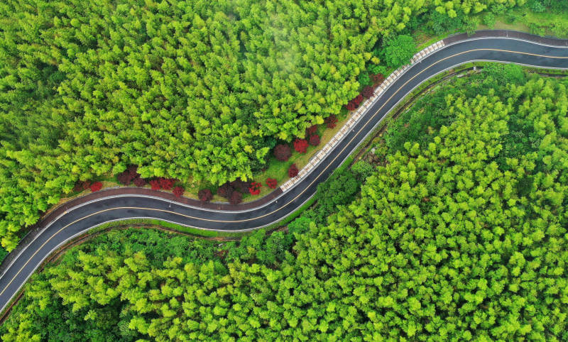航拍南京森林中的蜿蜒公路图片