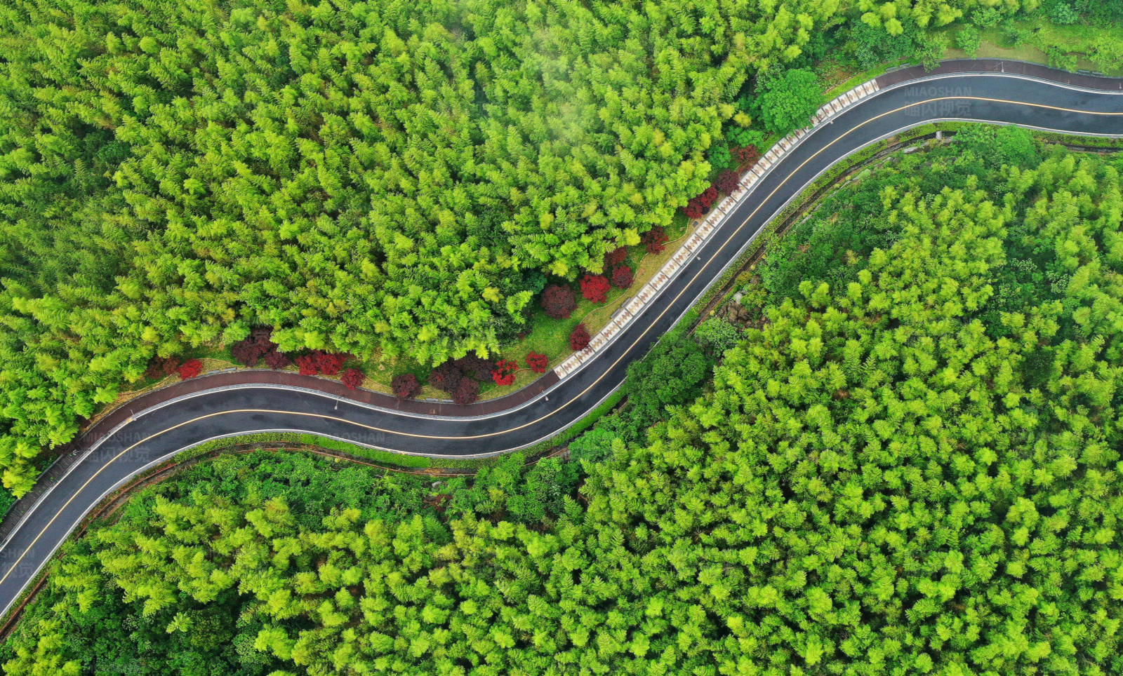 航拍南京森林中的蜿蜒公路图片