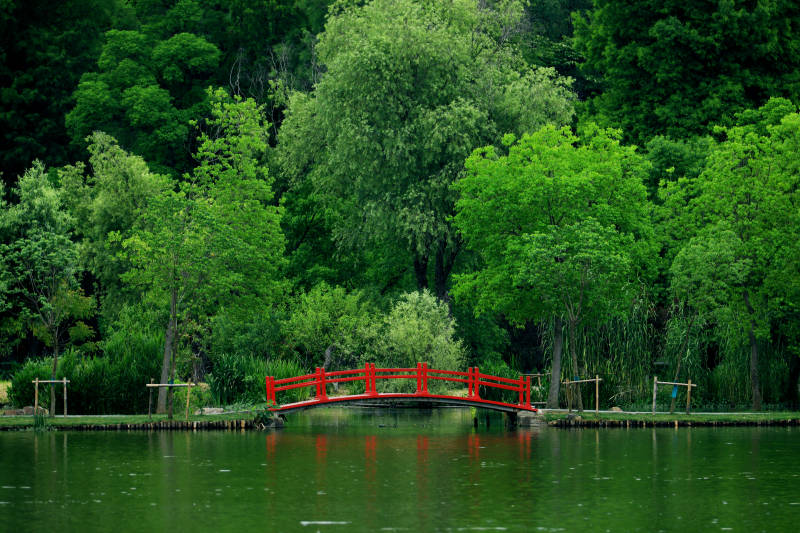 南京前湖的红桥绿树图片