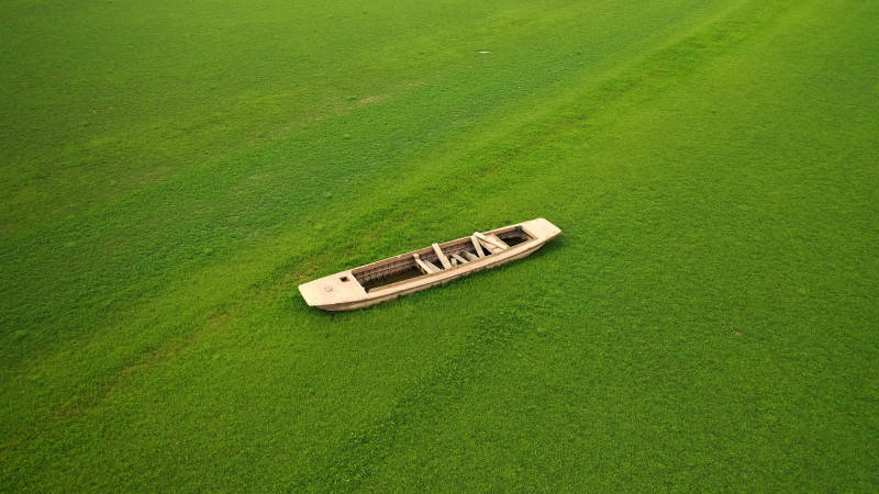 南京石臼湖枯水期湖床上的废弃船只图片