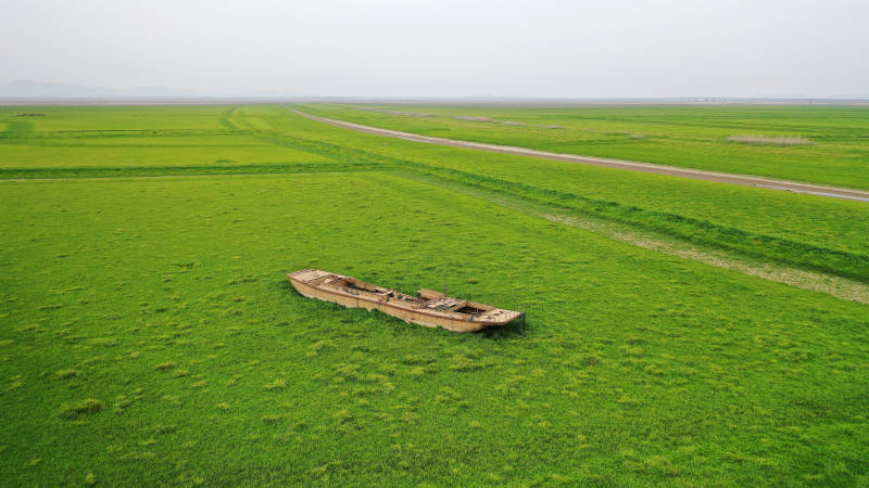 南京石臼湖干涸湖床上的的废弃船只图片