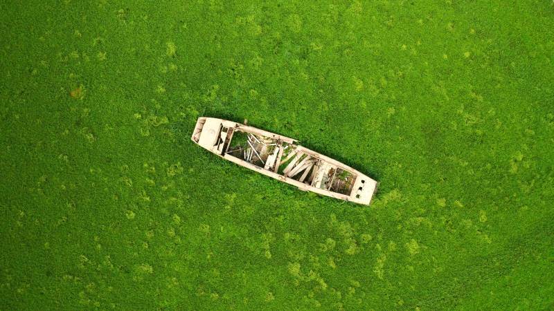 航拍南京石臼湖枯水期湖床上的废弃沉船图片