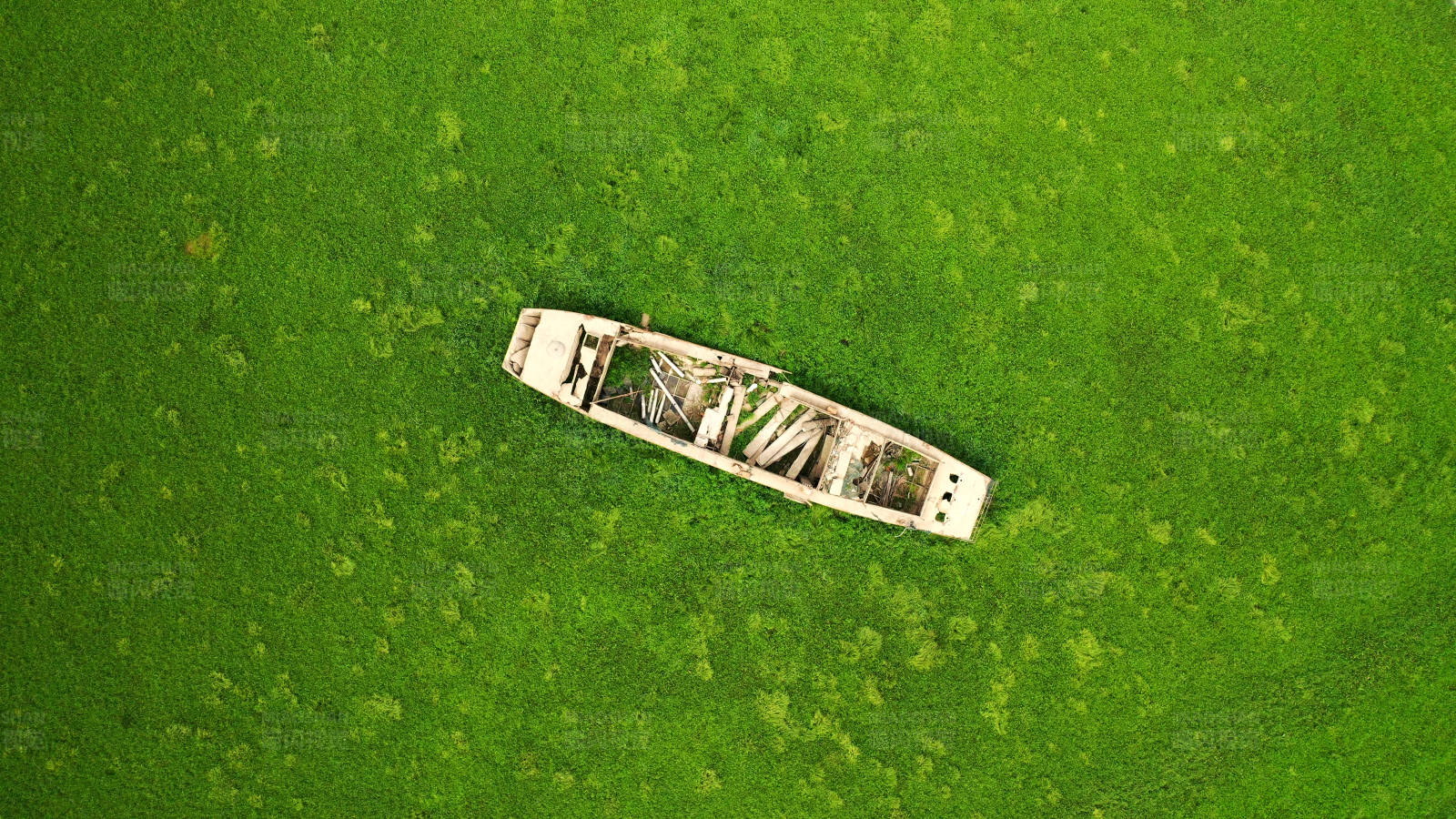 航拍南京石臼湖枯水期湖床上的废弃沉船图片