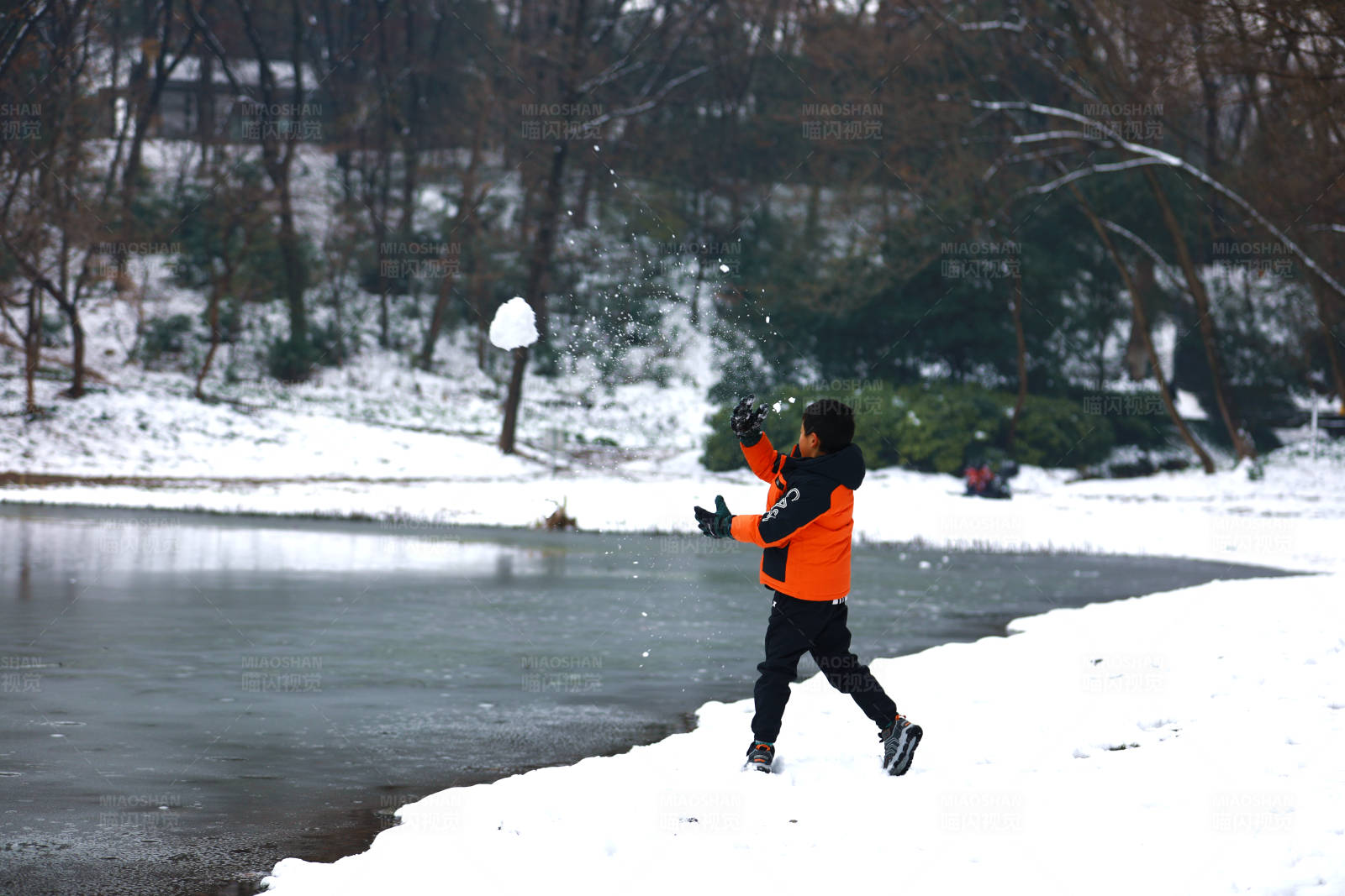 雪地里的欢乐时光图片