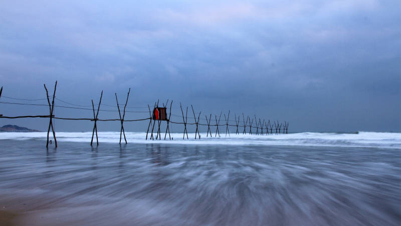 福建漳州的海上的木桩和小屋图片