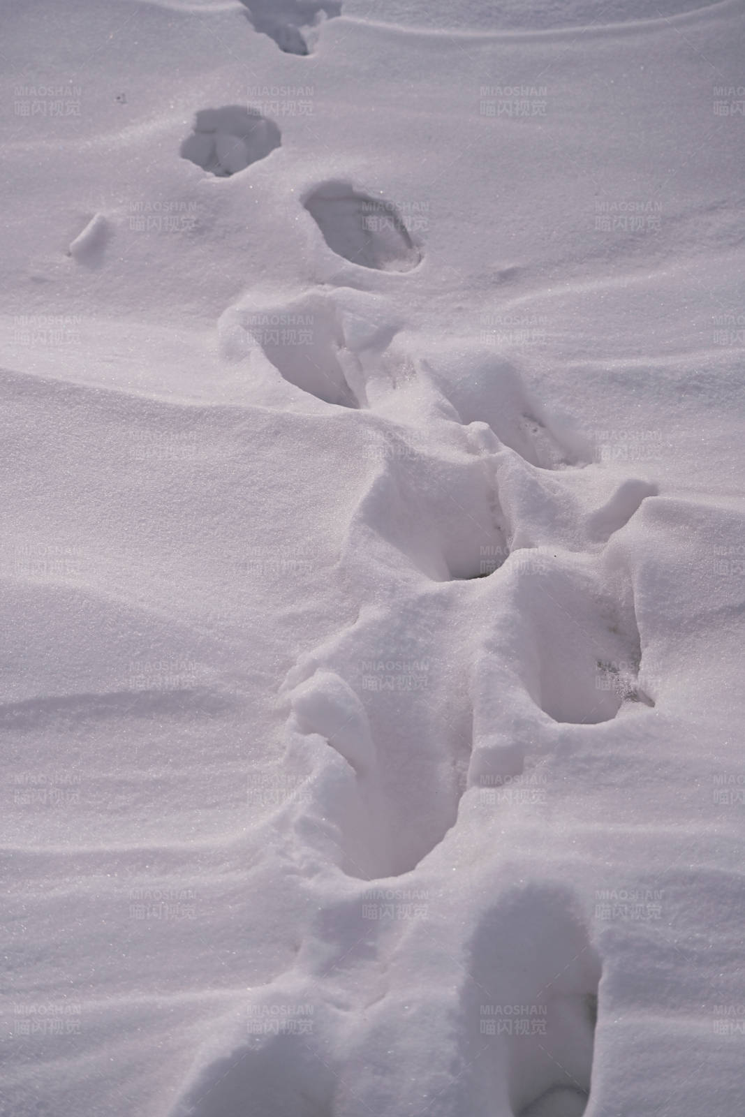 雪地足迹图片