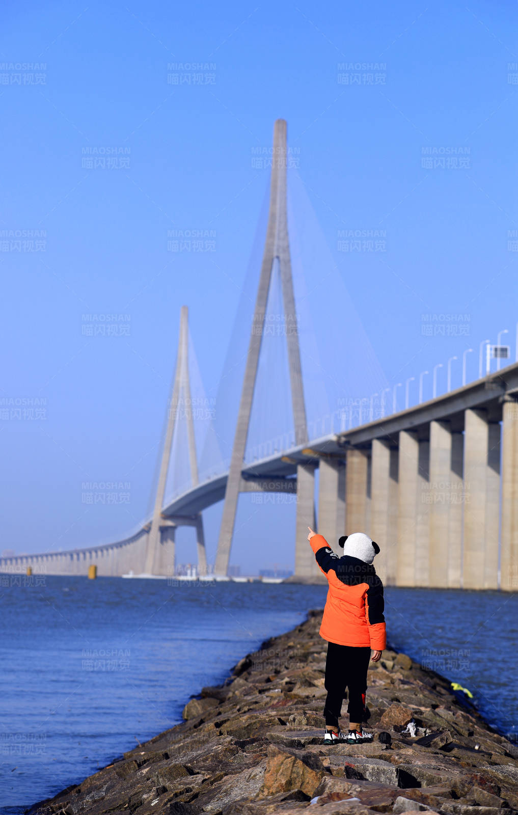 苏通长江大桥图片