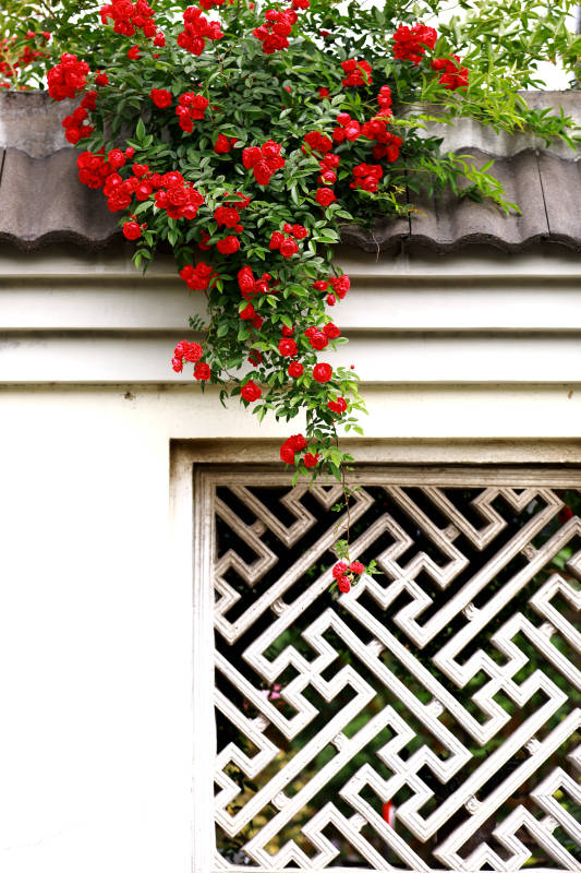 红花绿叶装饰屋檐图片