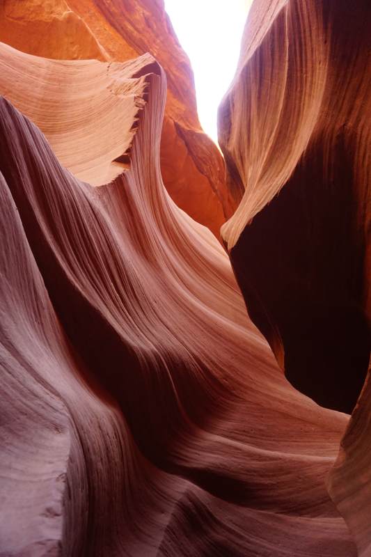 美国羚羊谷图片