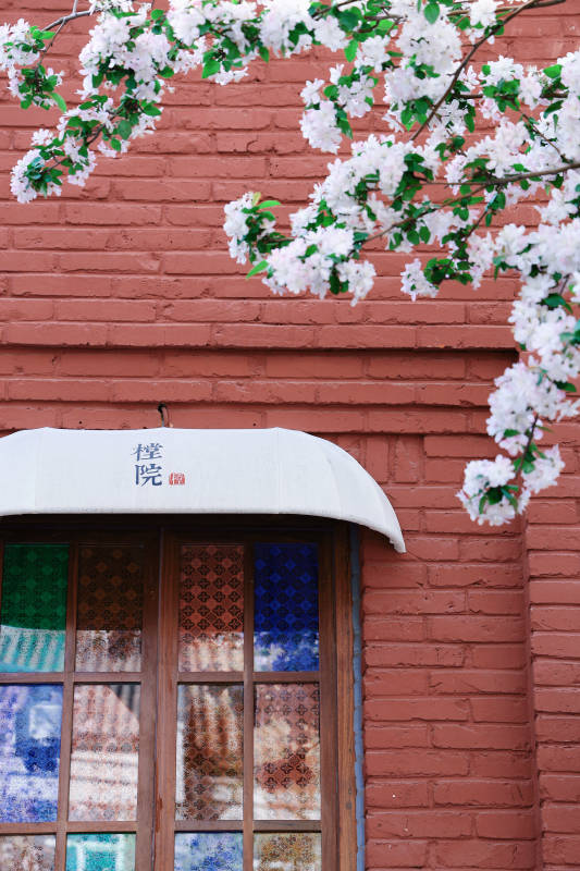 春日花开红墙门图片