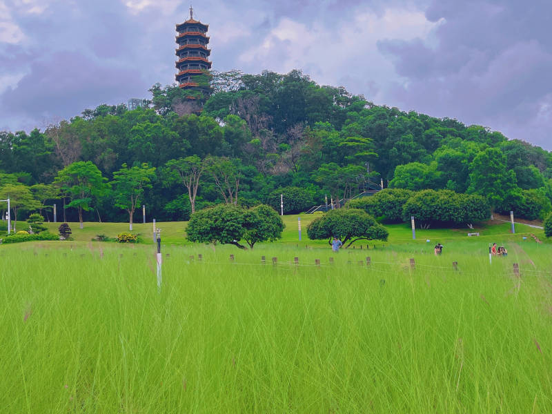 青山绿野红花山古塔图片