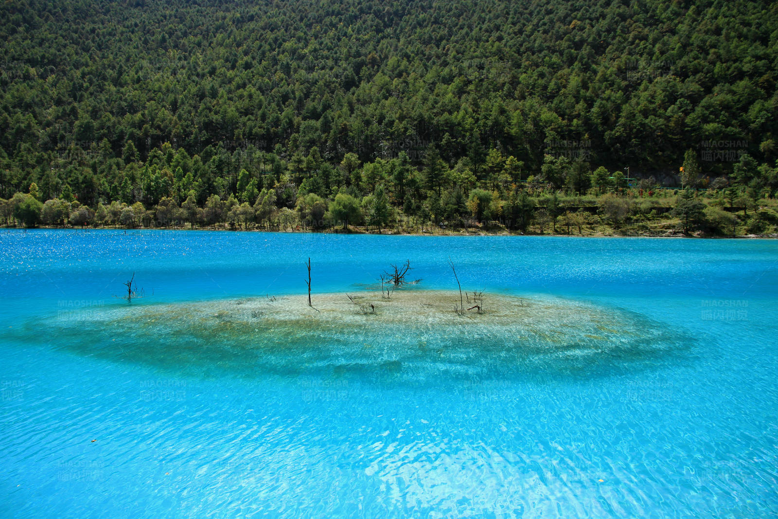 丽江玉龙雪山蓝月谷的蓝湖绿树图片