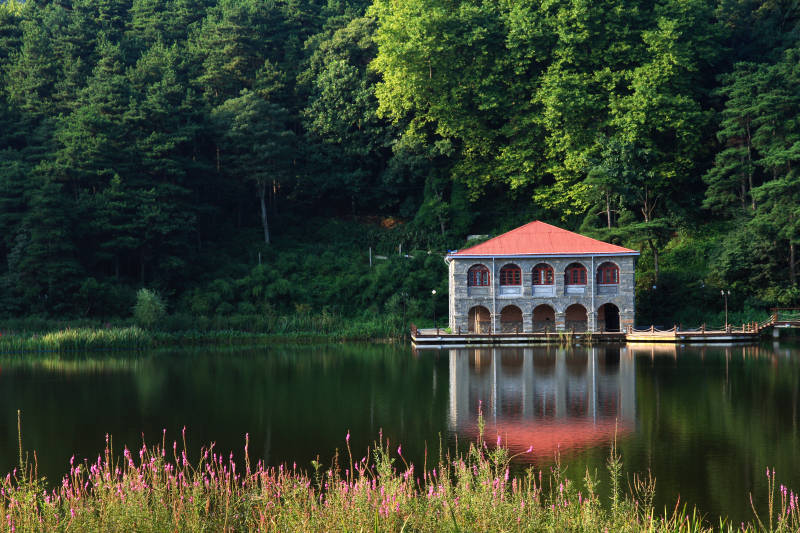湖畔红顶小屋图片