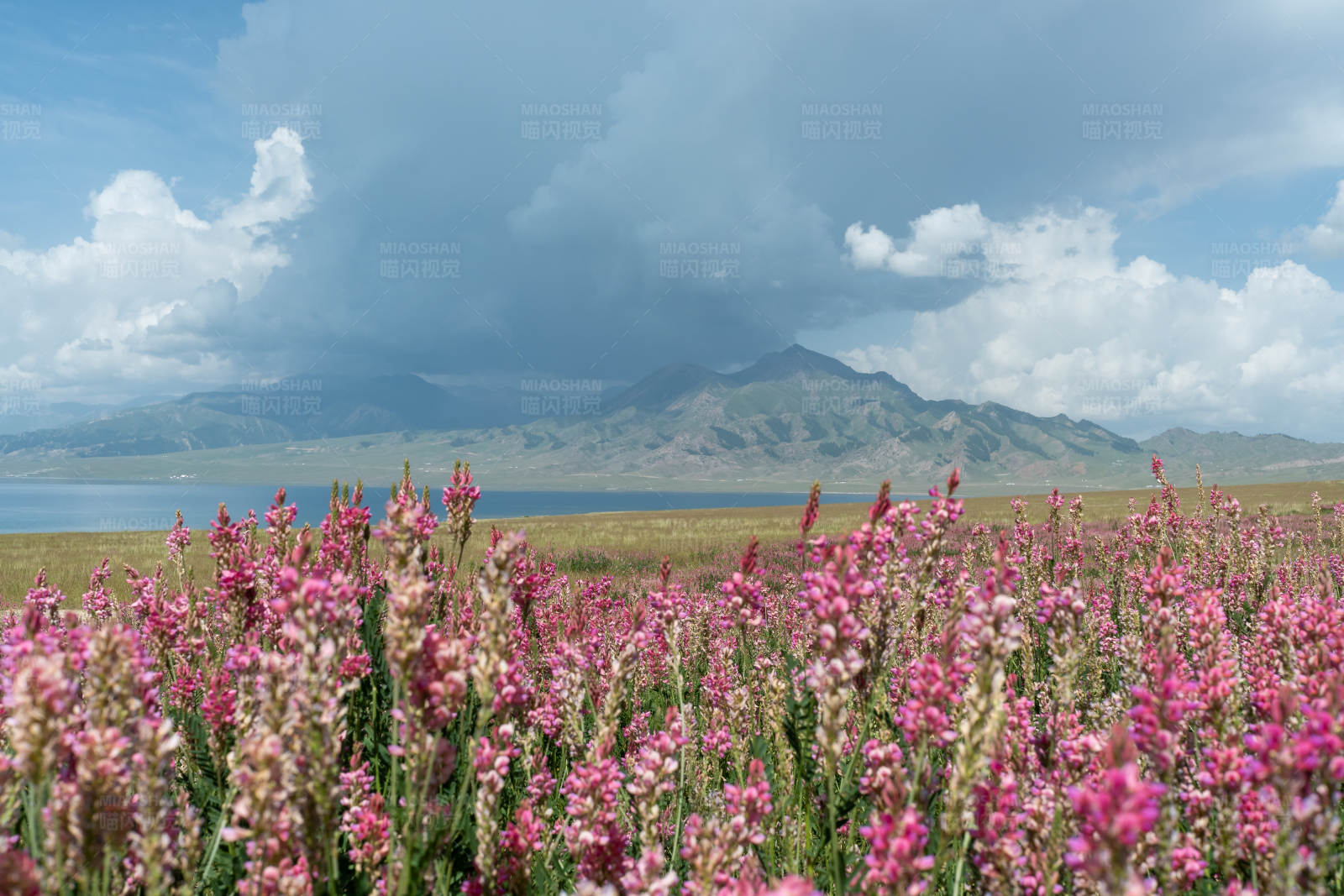 新疆赛里木湖景区风光图片