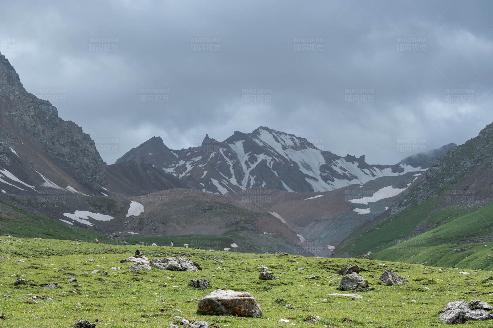 高山草甸云雾缭绕图片