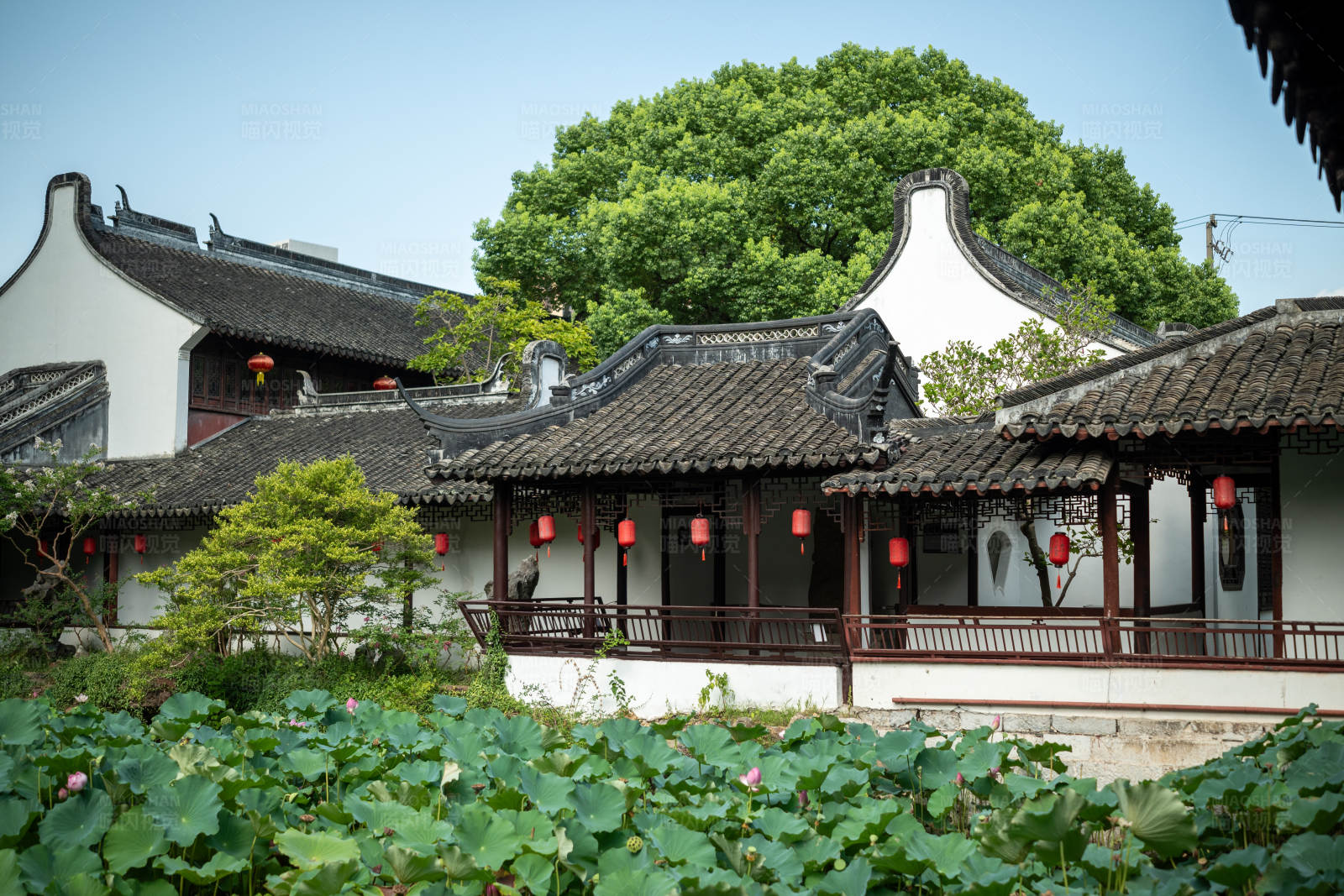 江南水乡古建筑图片