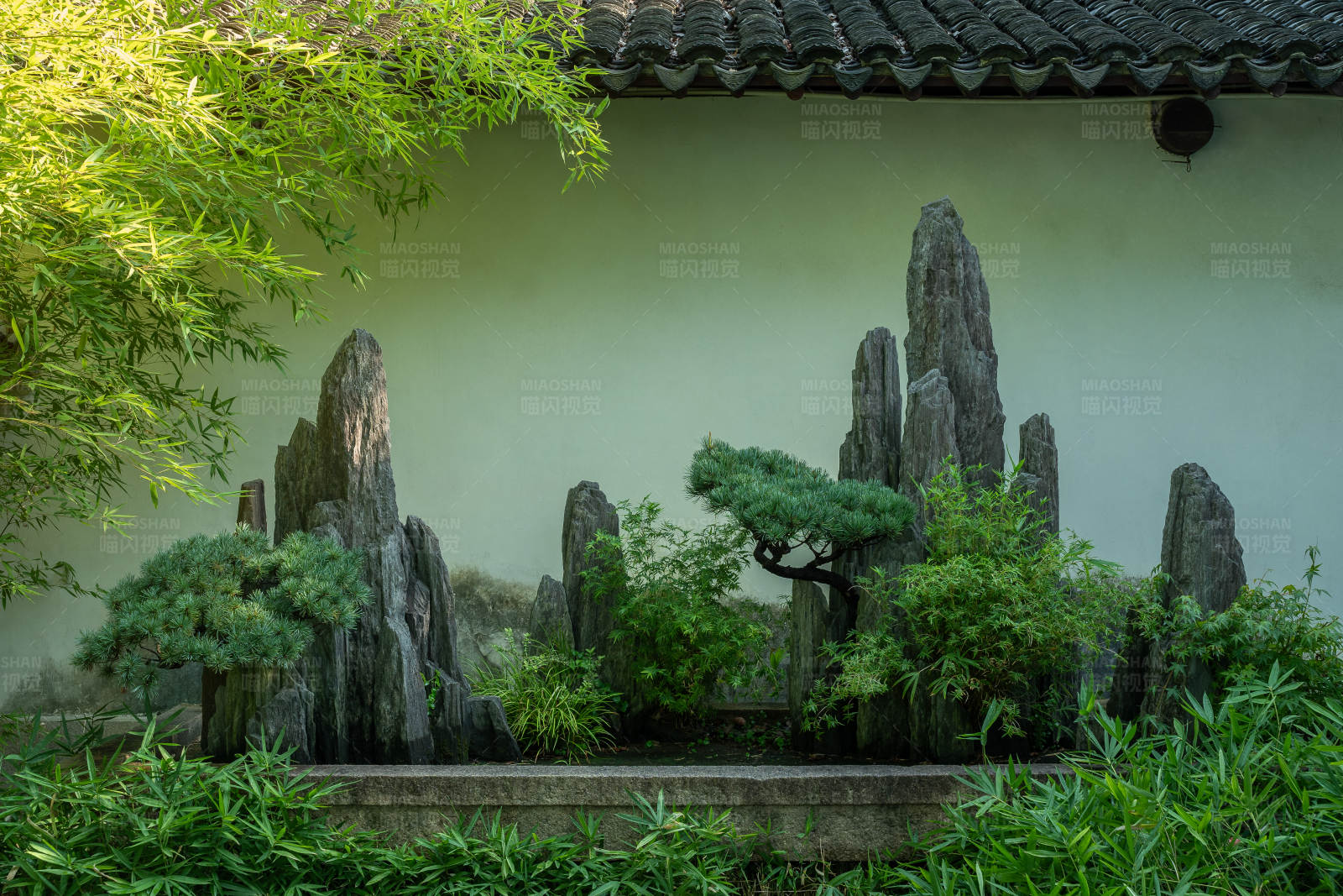 园林假山与竹影图片