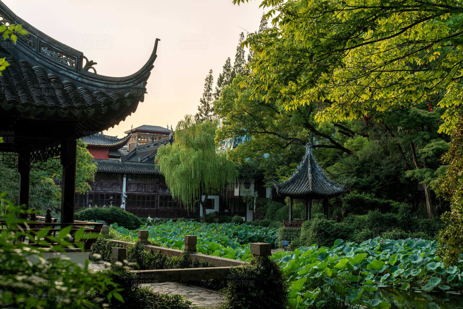 古典园林的宁静之美图片