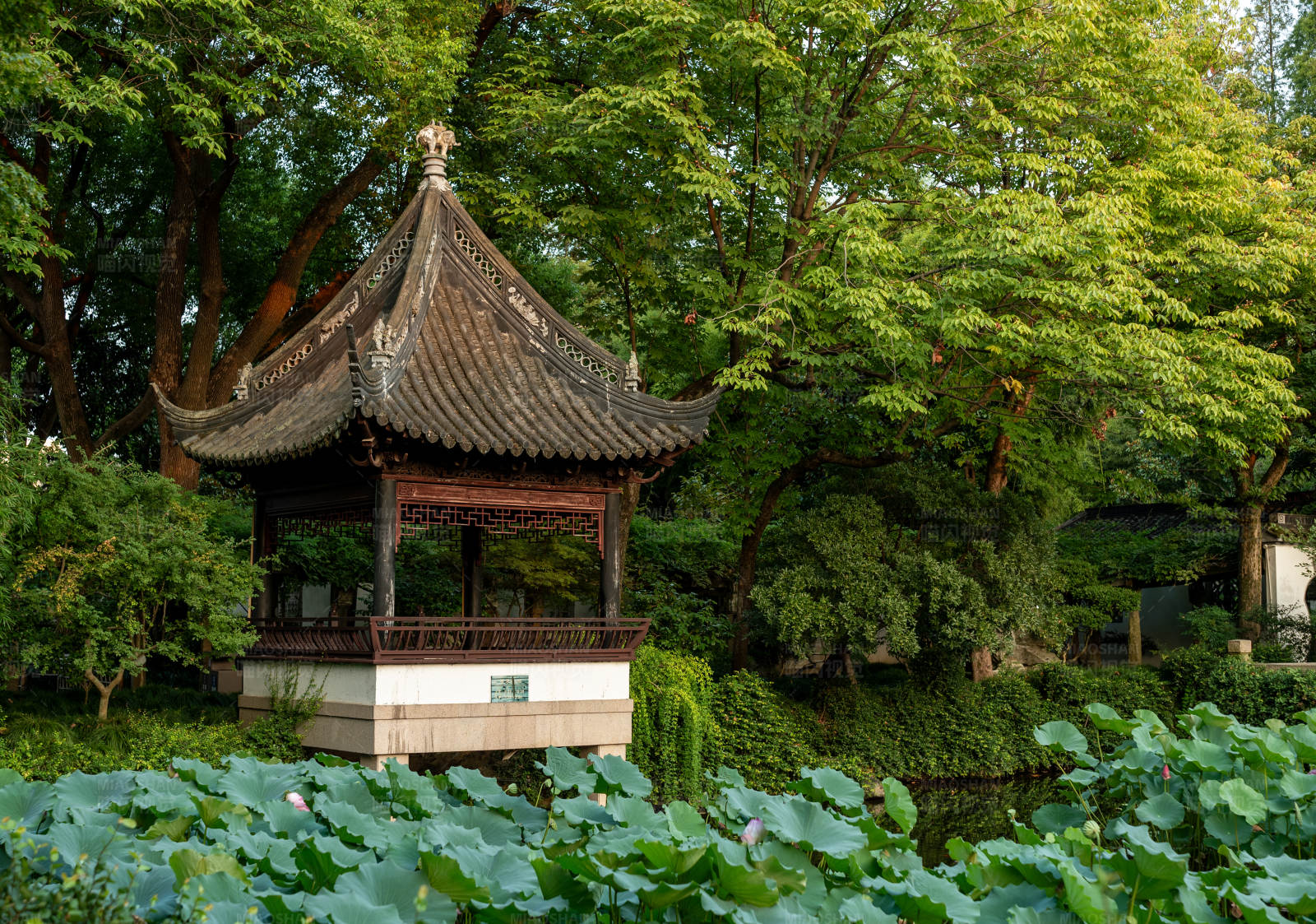 园林中的古亭图片