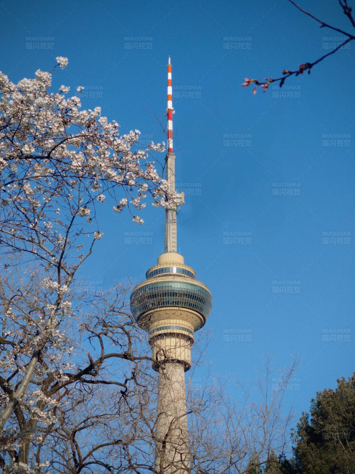 春日电视塔图片