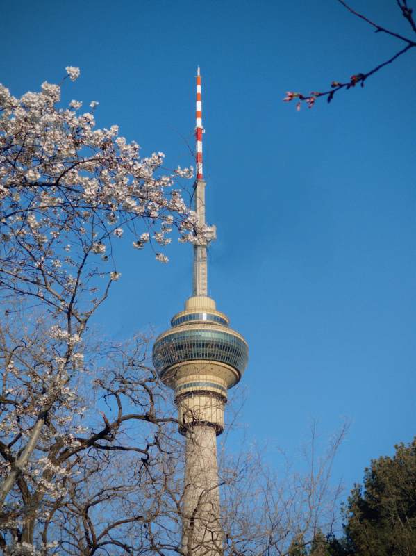 春日电视塔图片