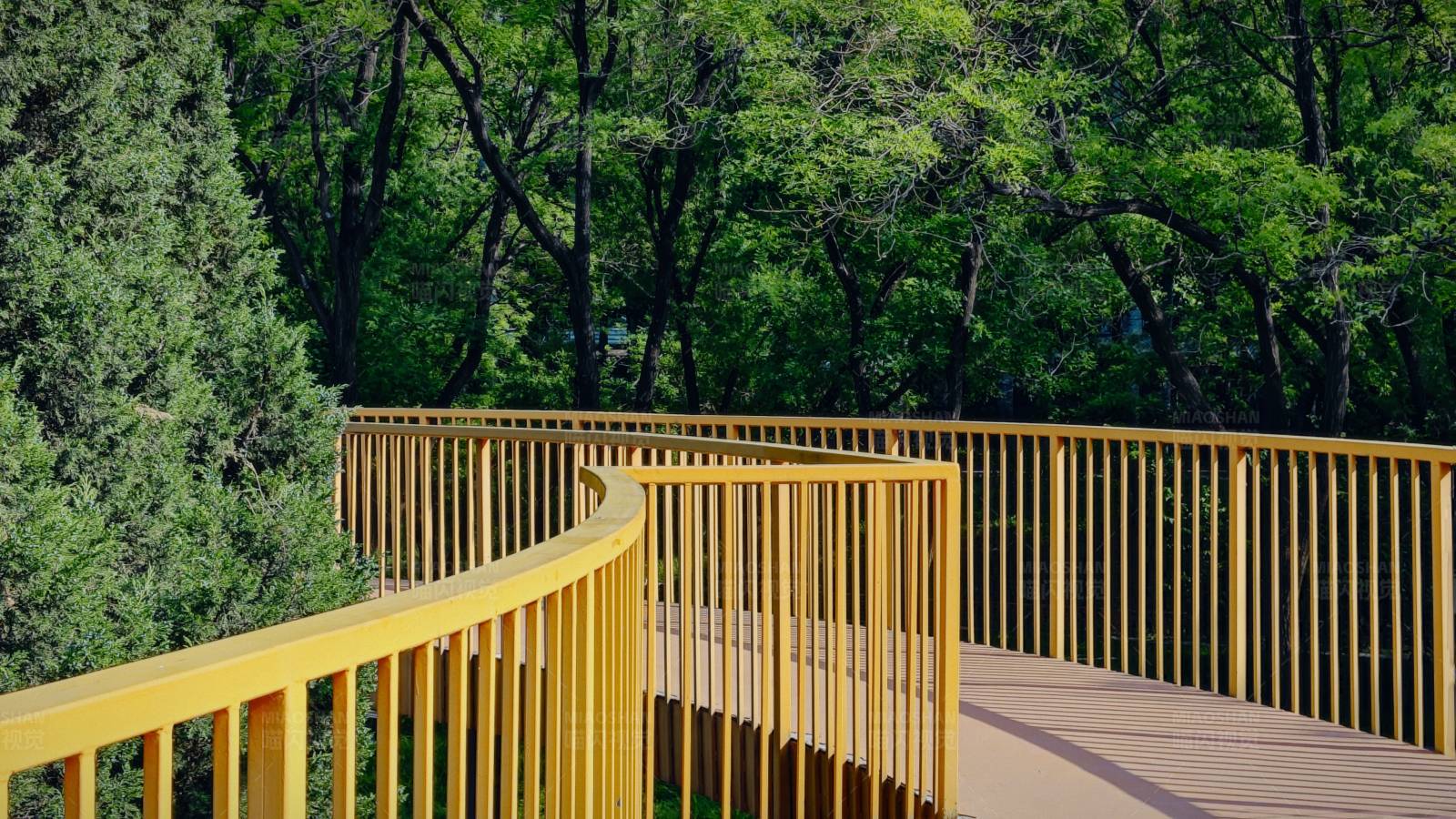 黄色森林观景台图片