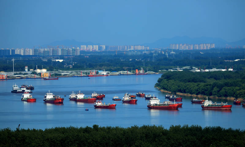 长江江面上的船队图片