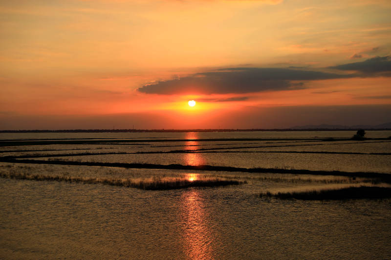 夕阳映照水面图片