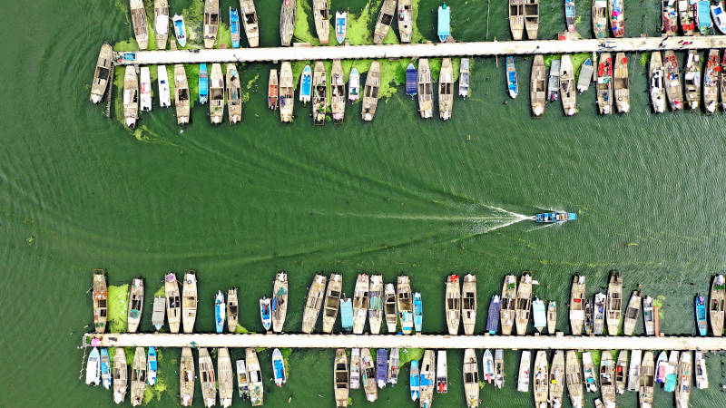 航拍码头停泊的船只图片