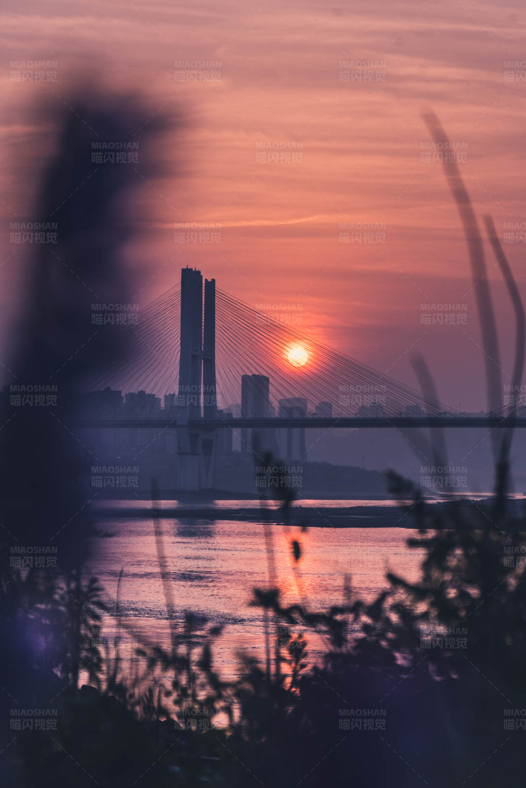 夕阳下的城市剪影图片